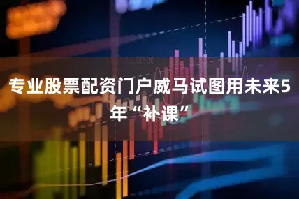 专业股票配资门户威马试图用未来5年“补课”